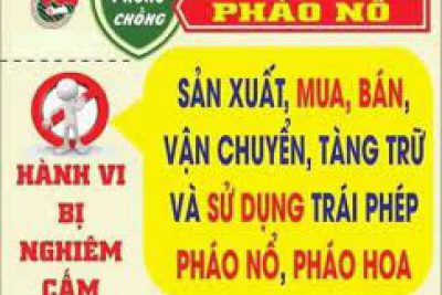 TUYÊN TRUYỀN PHÒNG CHỐNG PHÁO, VŨ KHÍ, VẬT LIỆU NỔ. NĂM HỌC: 2021-2022
